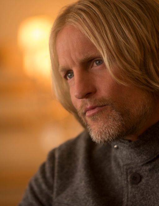 woody harrelson in hunger games